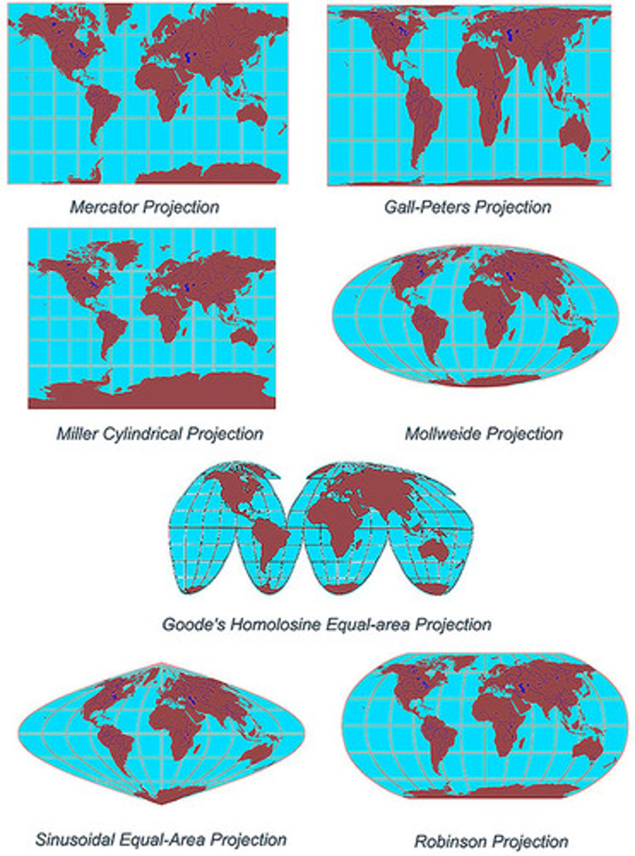 <p>1. Mercator Projection</p><p>2. Robinson Projection</p><p>3. Goode Homolosine Projection</p><p>4. Fuller Projection</p><p>5. Peters Projection</p>