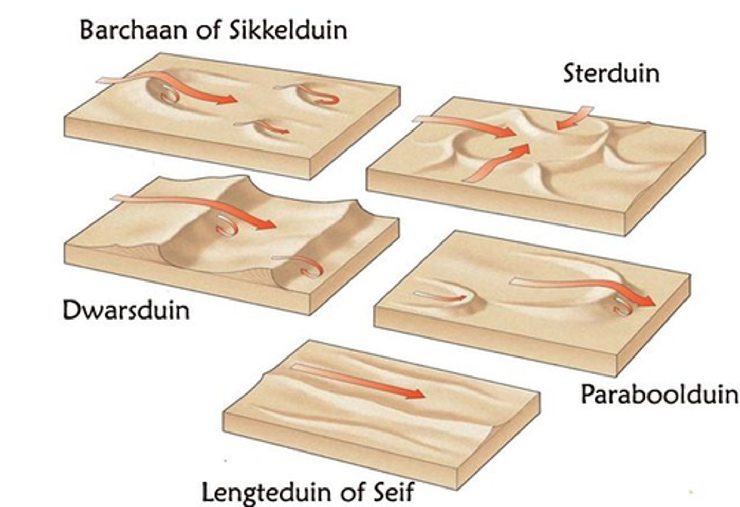<p>•Complex gevormd</p><p>•Wind uit meerdere richtingen</p><p>•Voorbeeld: Namibwoestijn</p><p>zeldzamer</p><p>Loopt als een ster uit elkaar</p>