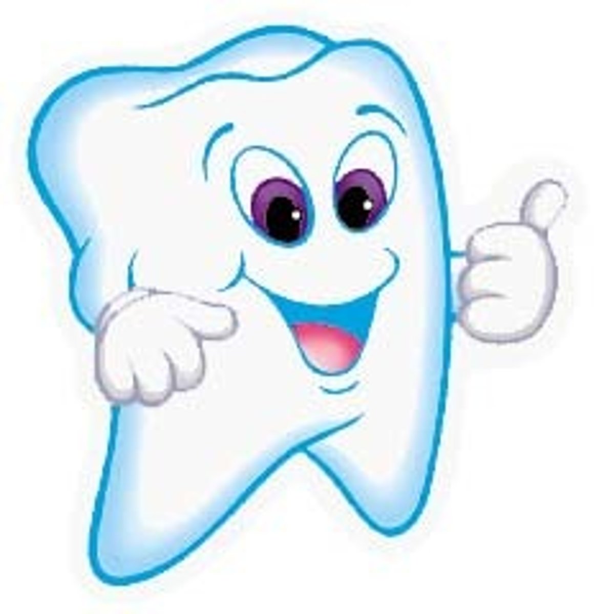 <p>tooth</p>