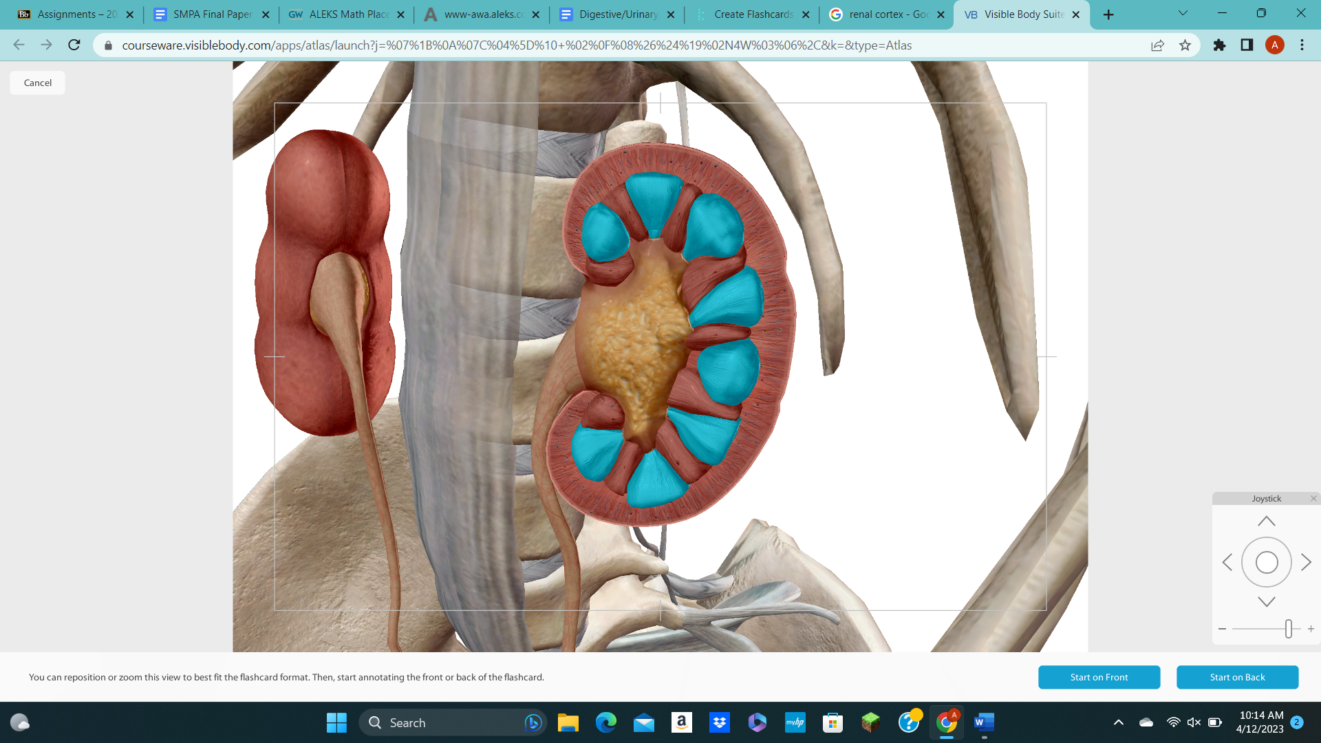 knowt flashcard image