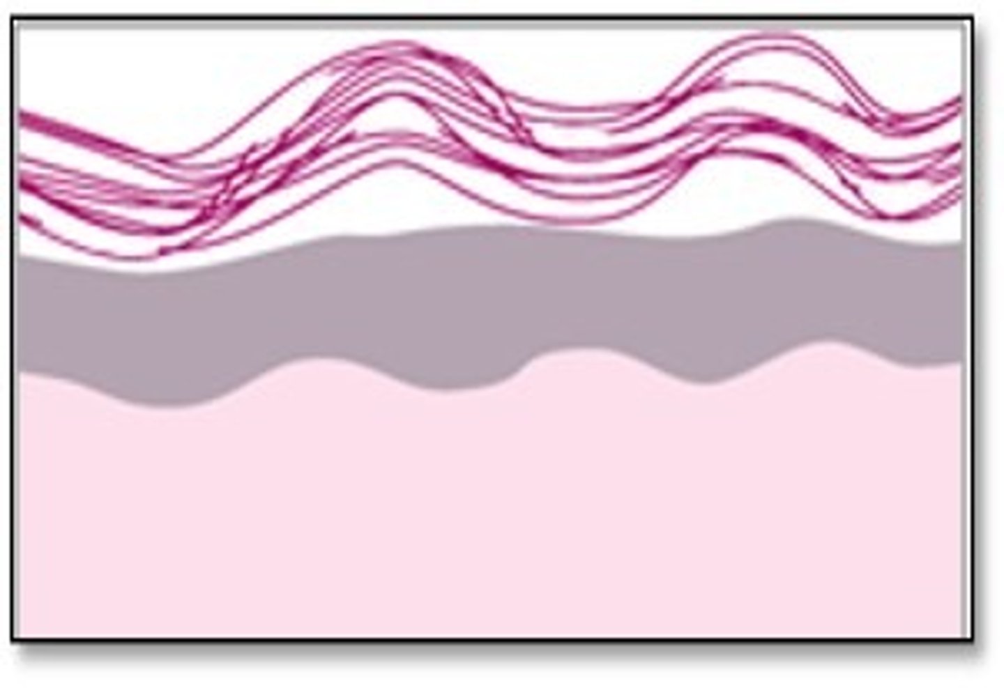 <p>means it was stimulated to thicken but no trauma (wasn't scratched off)</p>