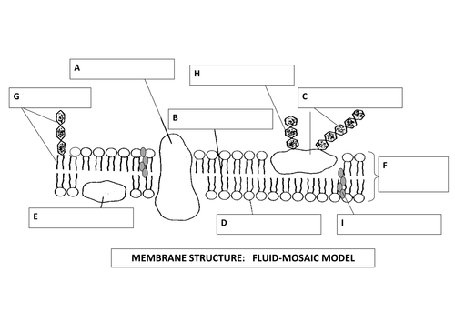 <p>Label diagram</p>