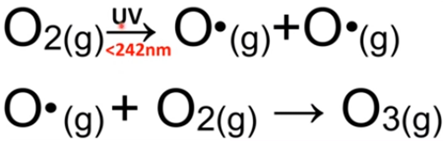 <p>equations that show the production of a compound from its elements</p>