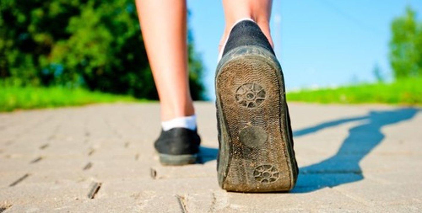 <p>marcher - la marche à pied</p>