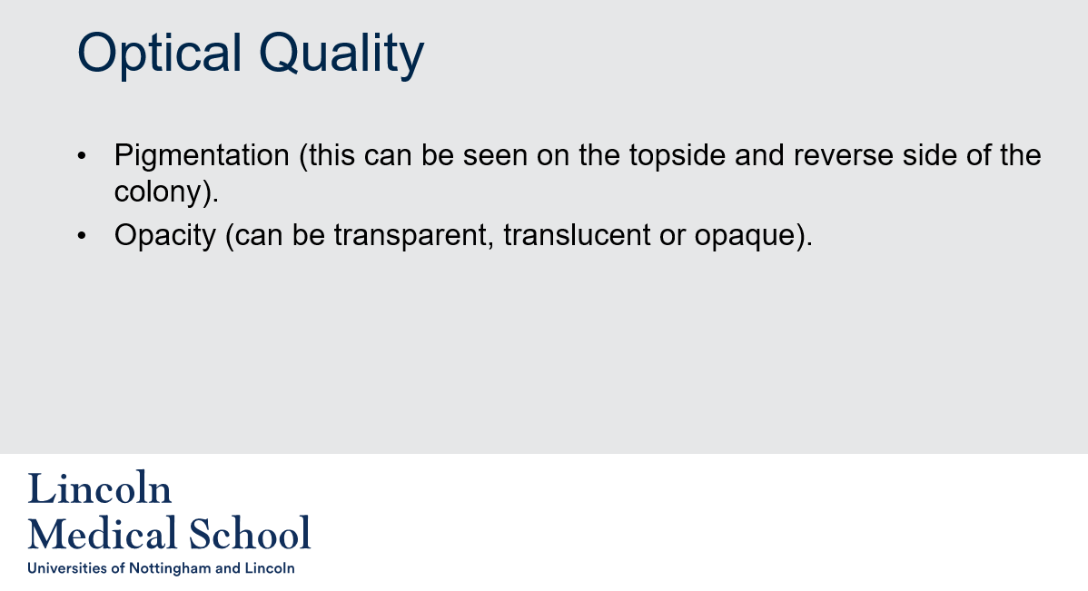 <p>Optical quality is a term used in microbiology to describe the visual appearance of microbial colonies when viewed under different lighting conditions. Two important aspects of optical quality are pigmentation and opacity:</p><ul><li><p>Pigmentation: This refers to the color of the colony, which can vary depending on the type of microorganism present and the environmental conditions under which it is growing. Pigmentation can be seen on both the topside and reverse side of the colony.</p></li><li><p>Opacity: This refers to how much light is able to pass through the colony. Opacity can range from transparent (allowing light to pass through easily) to translucent (allowing some light to pass through, but not enough to see through completely) to opaque (blocking all light).</p></li></ul>