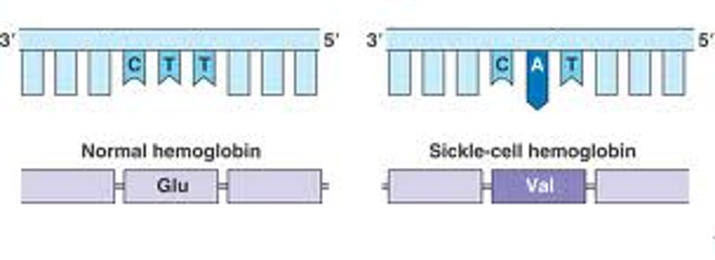 <p>Gene mutation involving changes in one or a few nucleotides.</p>