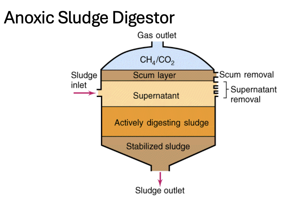 <ul><li><p>Macromolecules are broken down into soluble components (monosaccharides, amino acids, fatty acids) </p></li><li><p>These are broken down into acetate, H2 , and CO2 -- substrates for methanogenic bacteria </p></li><li><p>The major products of anoxic sewage treatment are CO2 and methane </p><ul><li><p>The methane is either burned off or collected for use in electric generators to heat and cool the treatment plant</p></li></ul></li></ul><p></p>