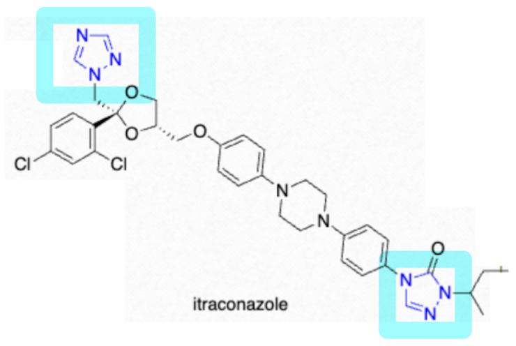 <p>itraconazole</p>