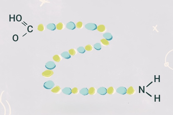 <p>What protein structure is this?</p>