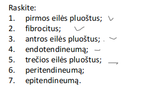 <p><span style="font-family: "Calibri Light";"><strong><span>Glaudusis taisyklingas</span></strong></span></p><p><span style="font-family: "Calibri Light";"><strong><span>skaidulinis</span></strong></span></p><p><span style="font-family: "Calibri Light";"><strong><span>(kolageninis)</span></strong></span></p><p><span style="font-family: "Calibri Light";"><strong><span>jungiamasis audinys</span></strong></span></p><p><span style="font-family: "Calibri Light";"><span>(sausgyslės skersinis</span></span></p><p><span style="font-family: "Calibri Light";"><span>pjūvis)</span></span></p>