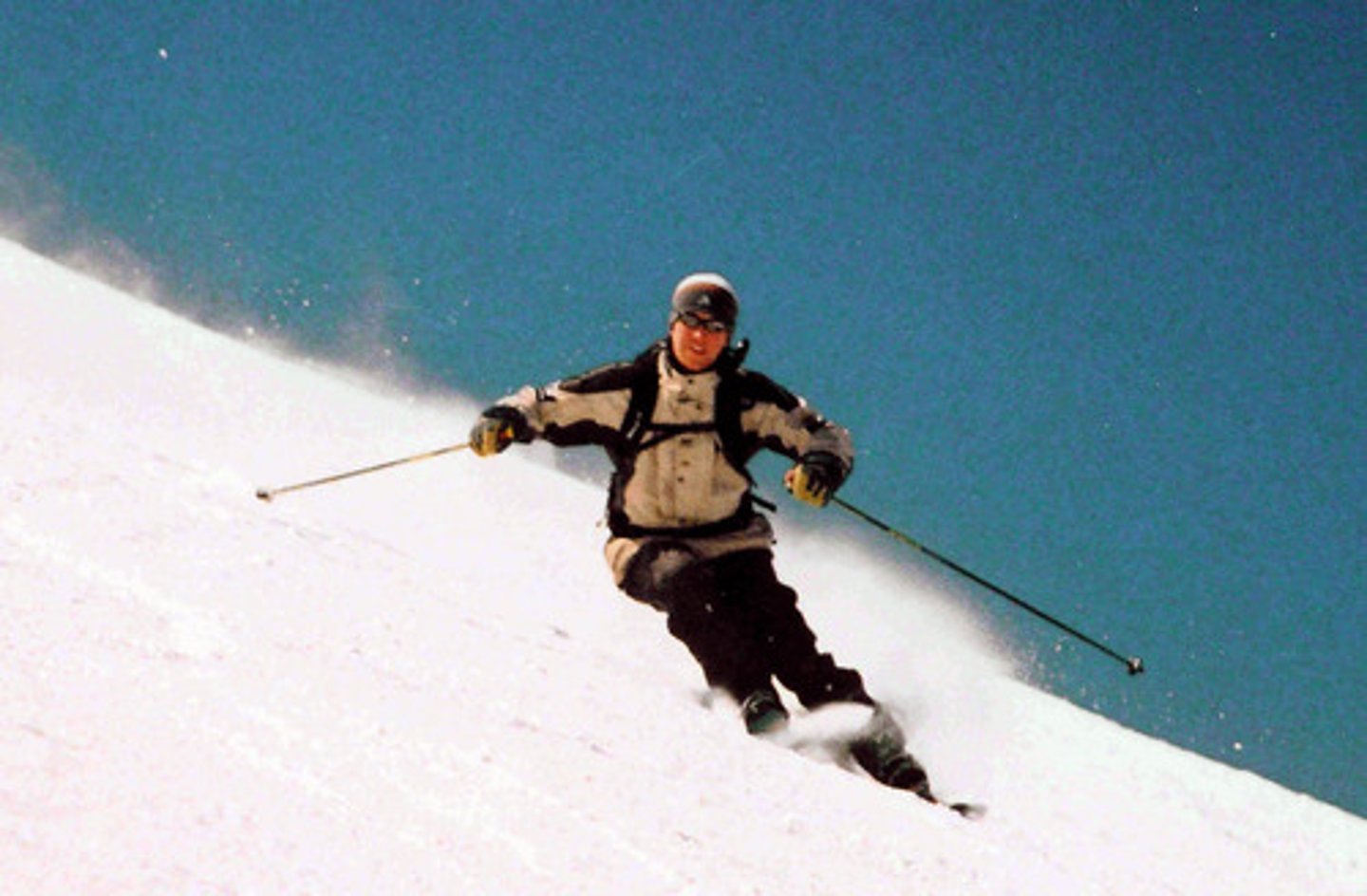 <p>the skier</p>