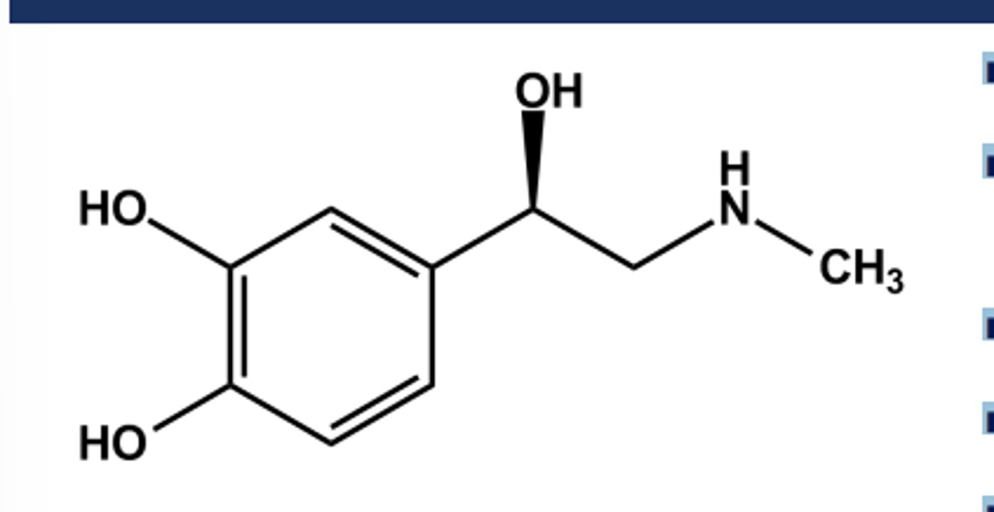<p>-LogP = 0.3; pKa = 8.6</p><p>-Catechol is still easily oxidized to adrenochrome</p><p>- Agonist at a1 , a2 , β1 and β2 receptors</p><p>- More potent than NE at all receptors</p><p>-No Oral use</p><p>-Use: Anaphylaxis</p>