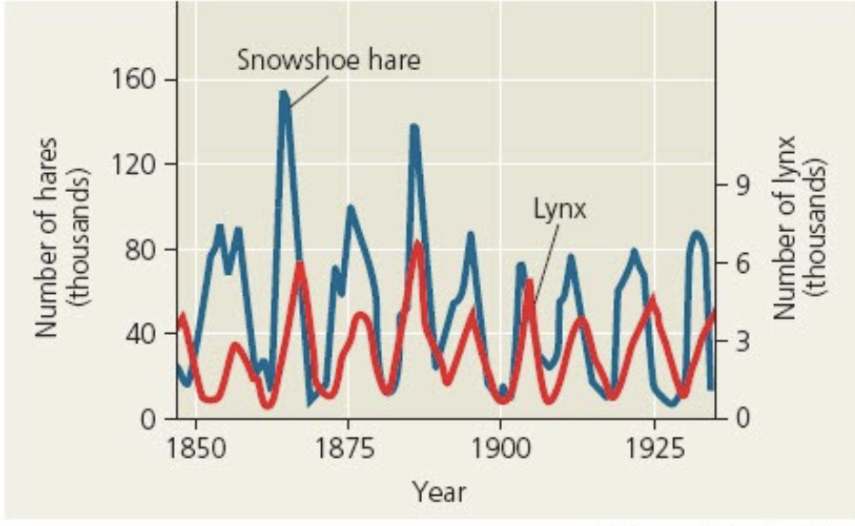 <p>What might explain the observation that hare numbers typically peaked slightly before lynx numbers?</p>