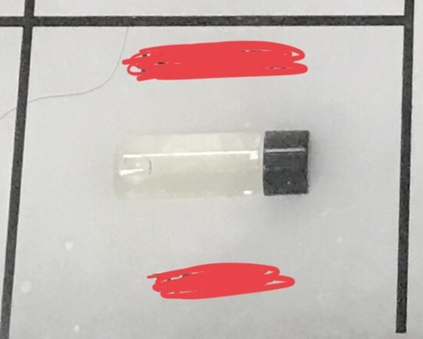 <p>For the following specimen (termites) , give the entire taxonomy.</p>