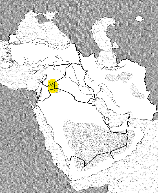 <p>Physical</p>
