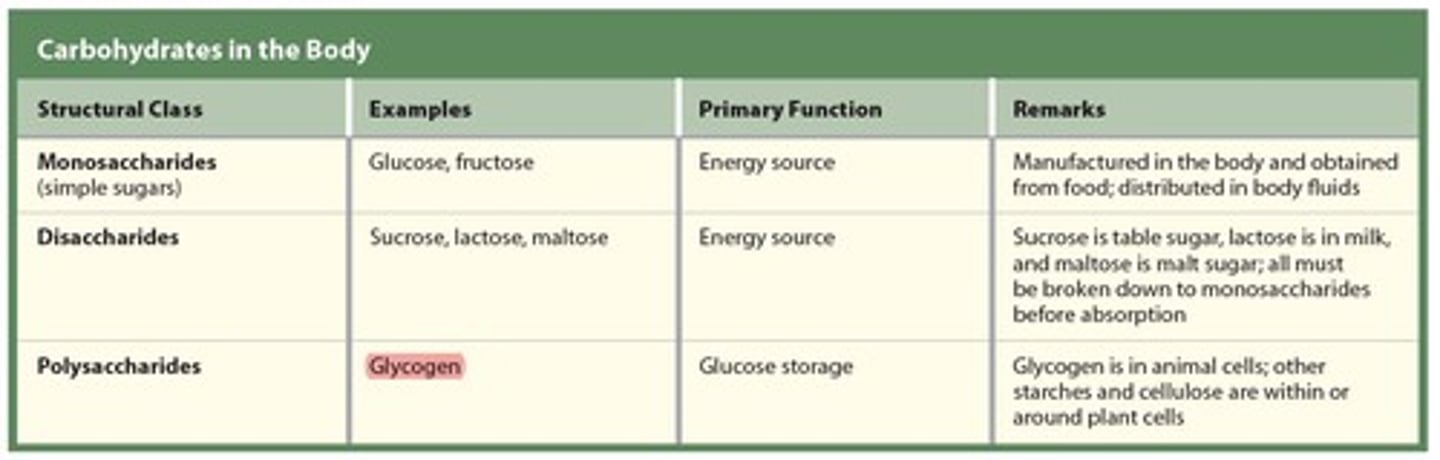 <p>1 - Monosaccharides (simple sugar)</p><p>2 - Disaccharides (two sugars)</p><p>3 - Polysaccharides (many sugars)</p>