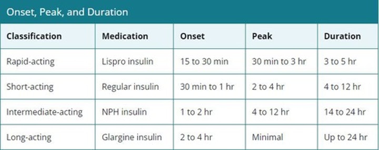 <p>A hormone made in the pancreas that helps lower blood glucose by using or storing sugar.</p>