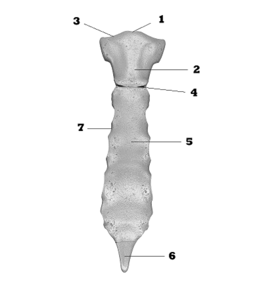 <p>3</p>