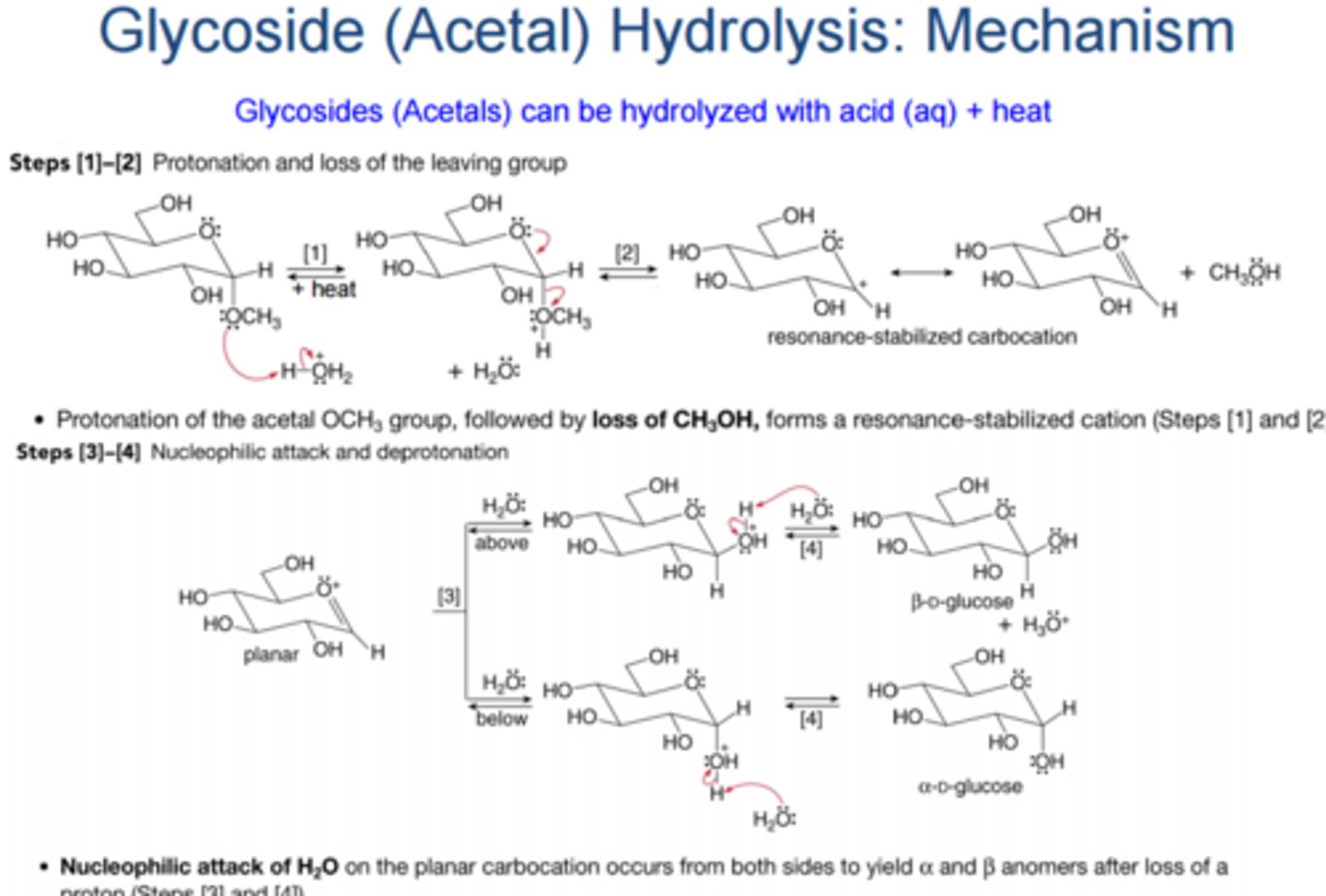 <p>It is the opposite of a Glycoside Formation Reaction.</p>