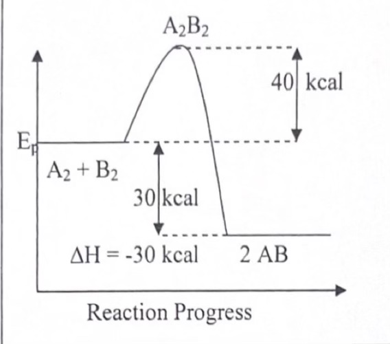 <p>Exothermic!</p>