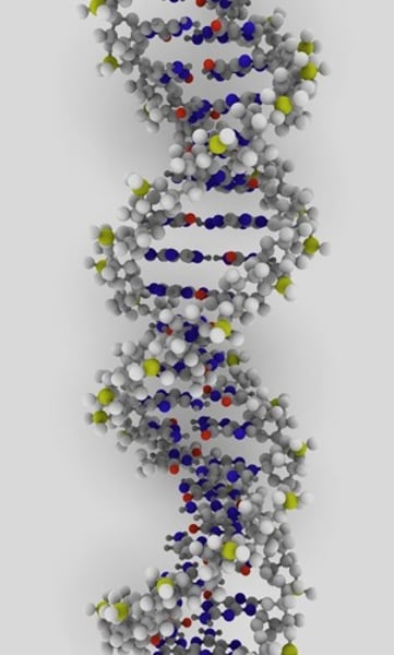 <p>Material present in nearly all living organisms as the main constituent of chromosomes. It is the carrier of genetic information.</p>