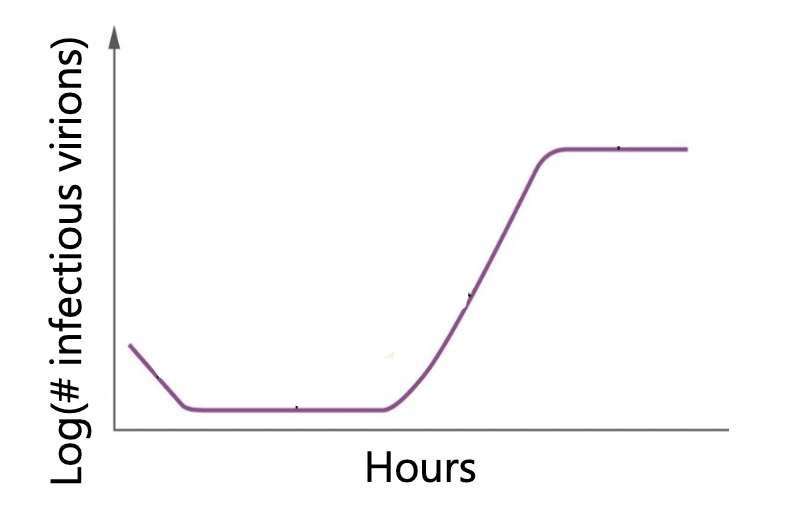 <p>Measure how long it takes to replicate and how many virions each cell releases</p>