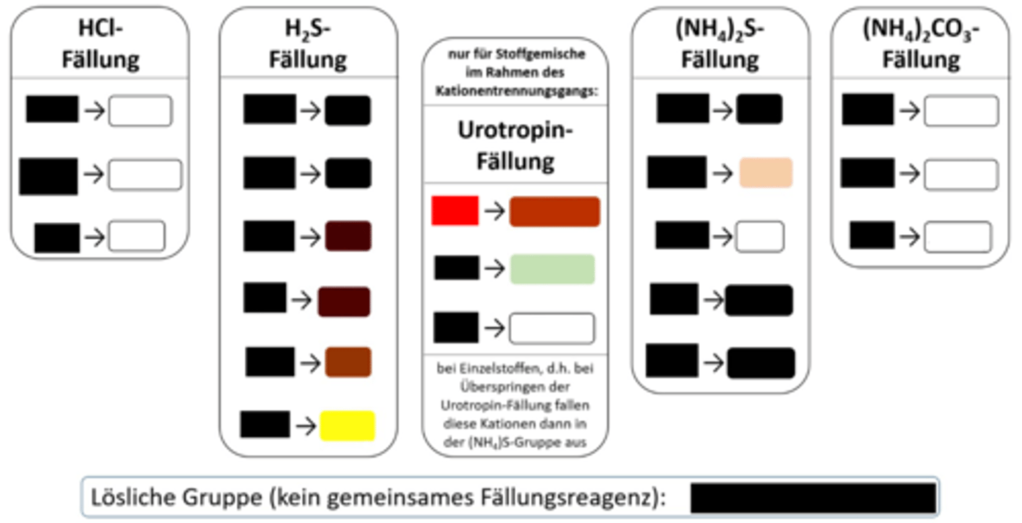<p>Urotropin-Fällung, roter NS</p>