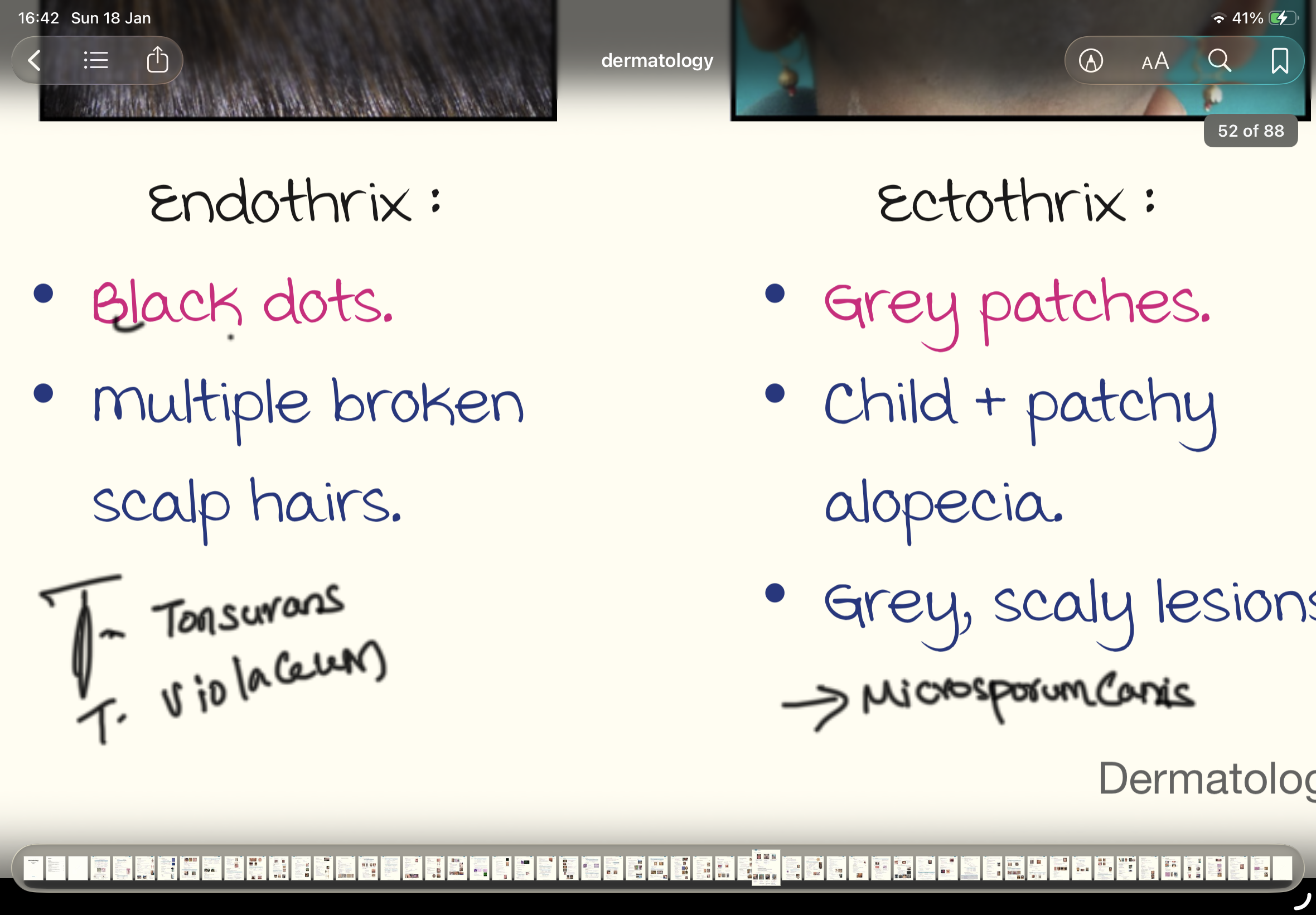 knowt flashcard image