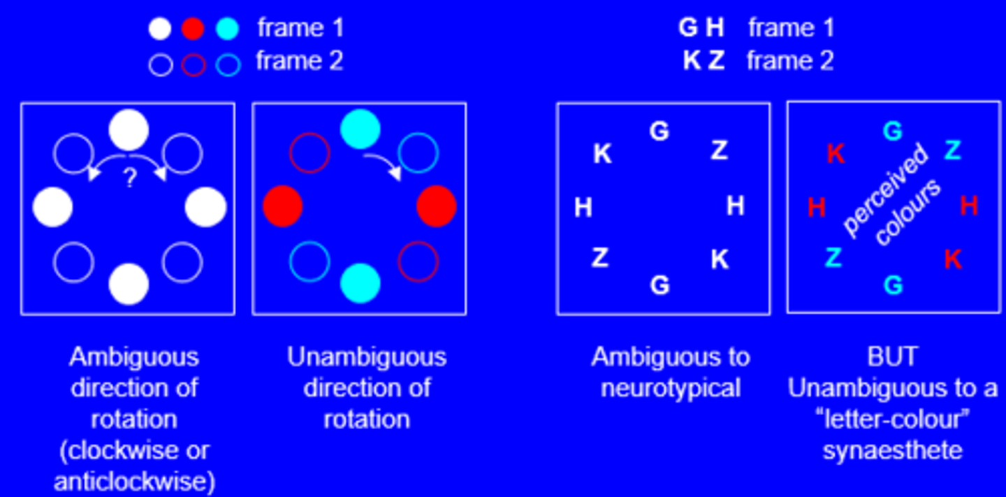 <p>Kim, Blake & Palmeri (2006)</p><p>-the direction of apparent motion in a circle can be ambigous, but if the circles are different colours becomes unambiguous as you can track the movement of spec coloured circles</p><p>Therefore circles of letters doing apparent motion can be ambiguous to nt but unambgous to a "lettercolour syneasthet"</p><p>50/50 versus ceertainty</p>