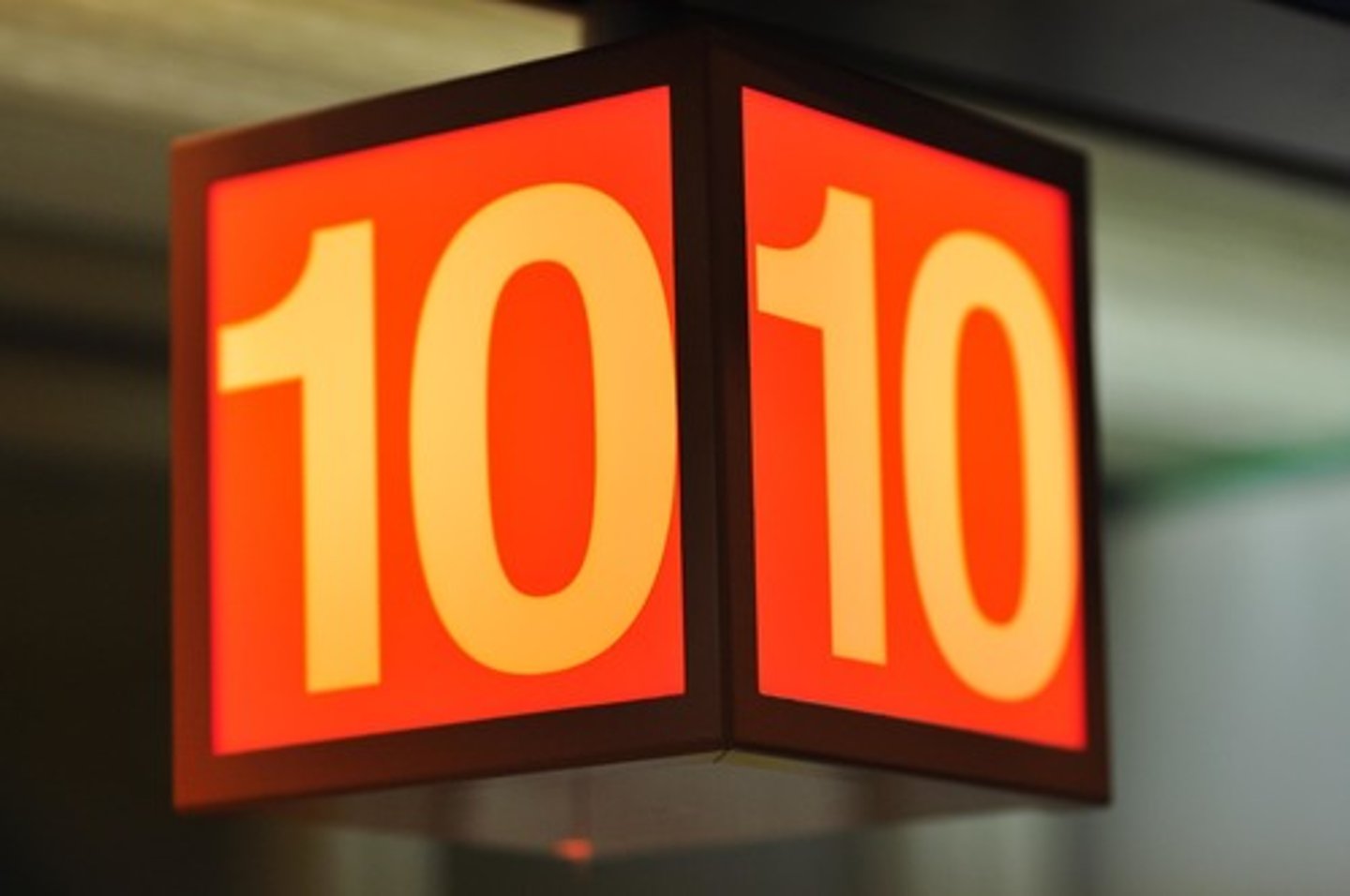 <p>10</p>