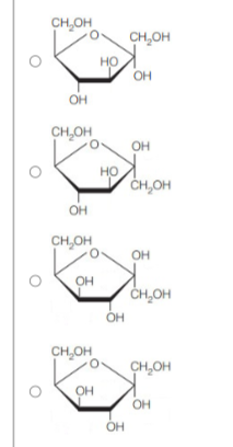 Choose Haworth projections for the following:

α-D-Fructofuranose