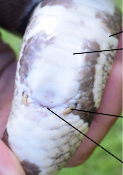 <p>Identify the different features in this image</p>