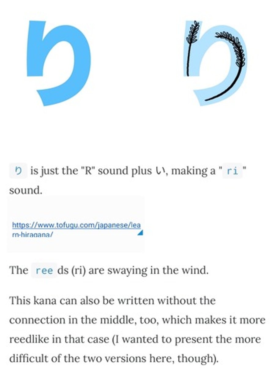 <p>r i</p>