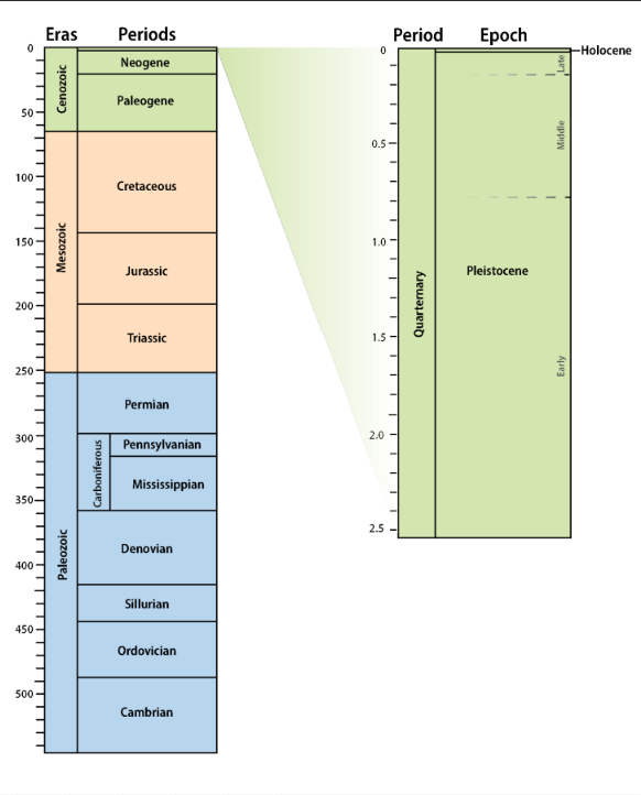 <ol><li><p>"Ice Age"</p></li><li><p>Middle Pleistocene: 780 – 125 ka</p></li><li><p>Later Pleistocene: 125 – 10 ka</p></li><li><p>Glacial & interglacial periods</p></li></ol><p></p>
