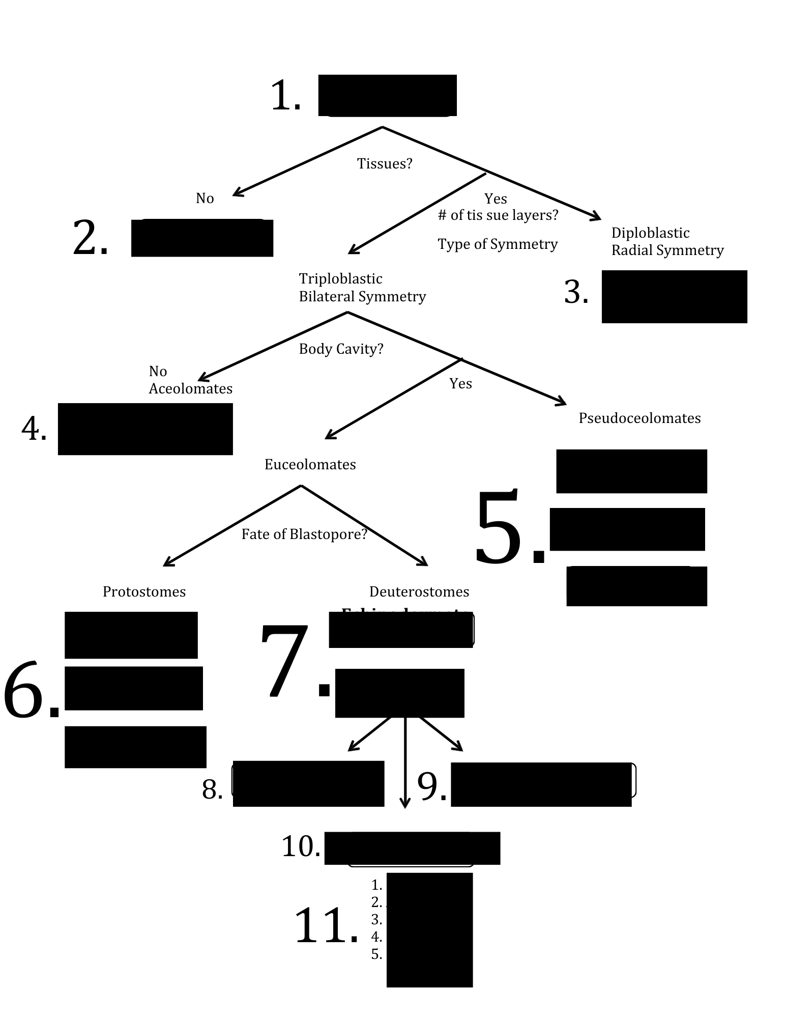 <p>What is #11</p>