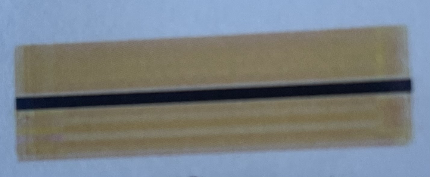 <p>What type of medullary shape is this? </p>