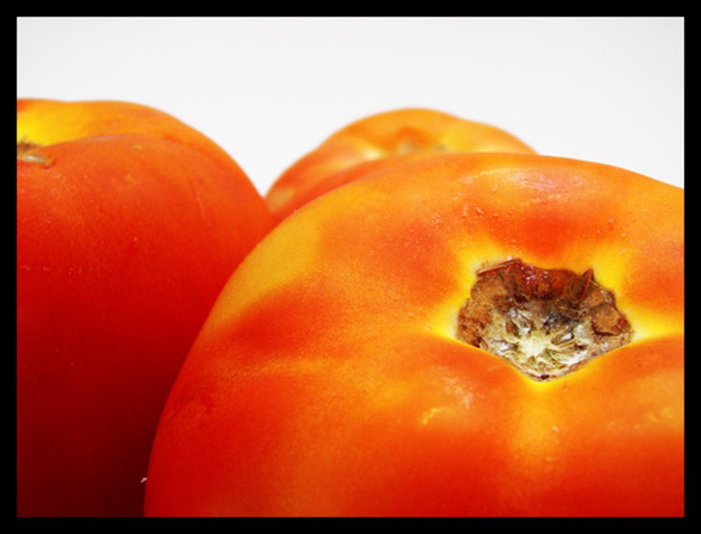 <p>tomato</p>