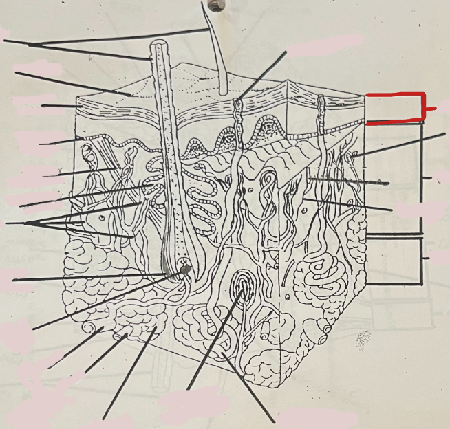 <p>What is this?</p>