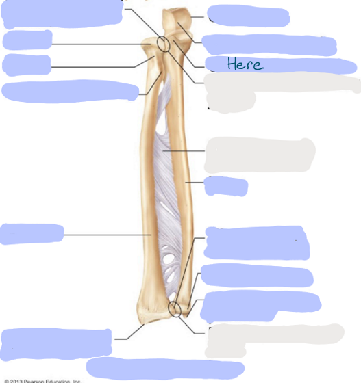 <p>What is here?</p>