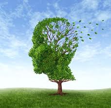 attributing to the wrong source an event we have experienced, heard about, read about, or imagined. (Also called source misattribution.) Source amnesia, along with the misinformation effect, is at the heart of many false memories.