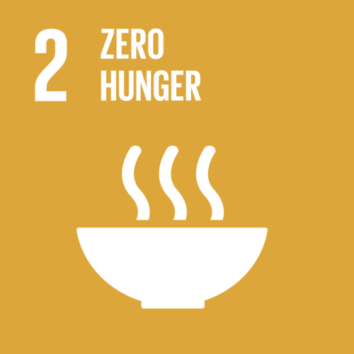 <p>Zero Hunger</p><p>Aims to end hunger and malnutrition and ensure all people have access to nutritious food all year round by promoting sustainable agriculture</p>