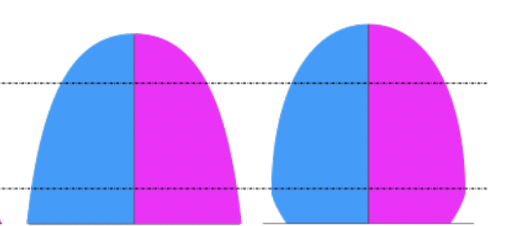 <ul><li><p>Population pyramid indicating low birth and death rates in population</p></li></ul><p></p>