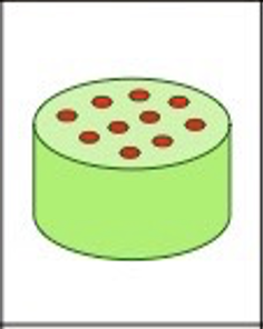 IS THIS A MONOCOT OR DICOT?