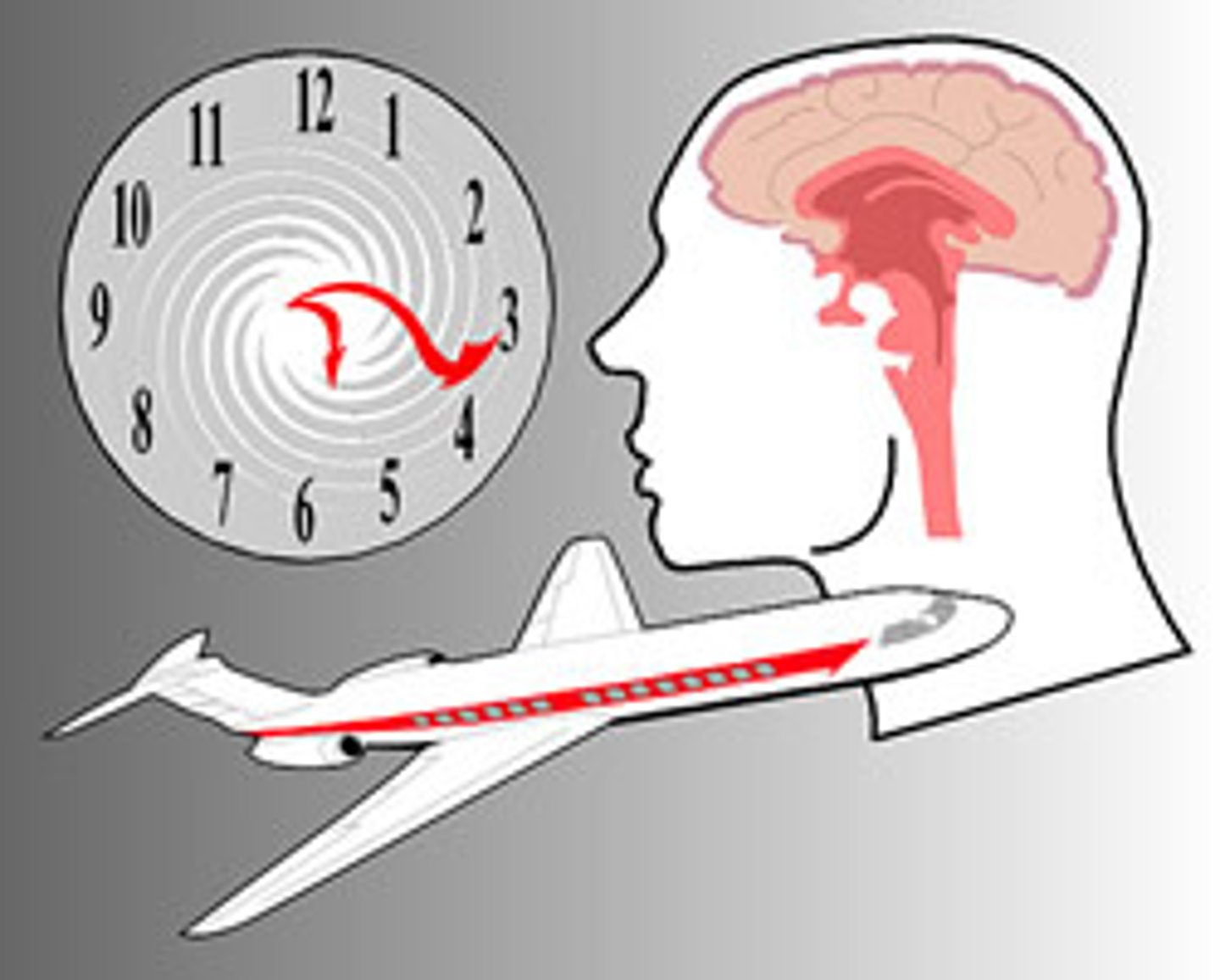 <p>a disruption of circadian rhythms due to crossing time zones</p>