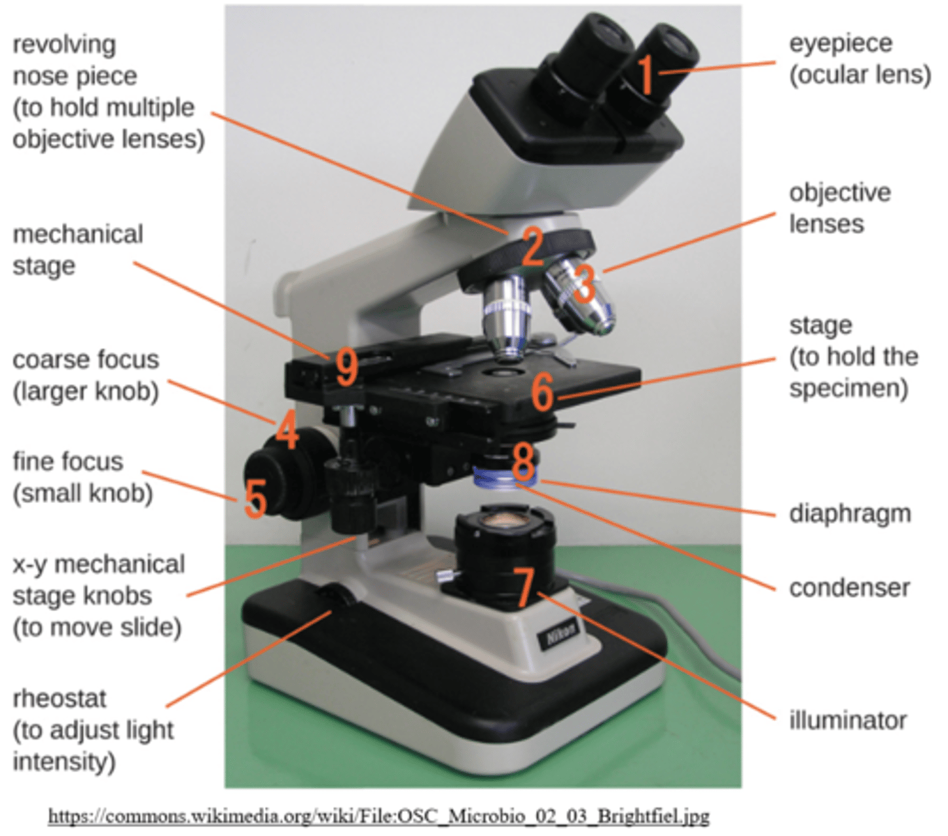 <p>compound microscopes</p>