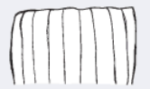 <p>apex</p>