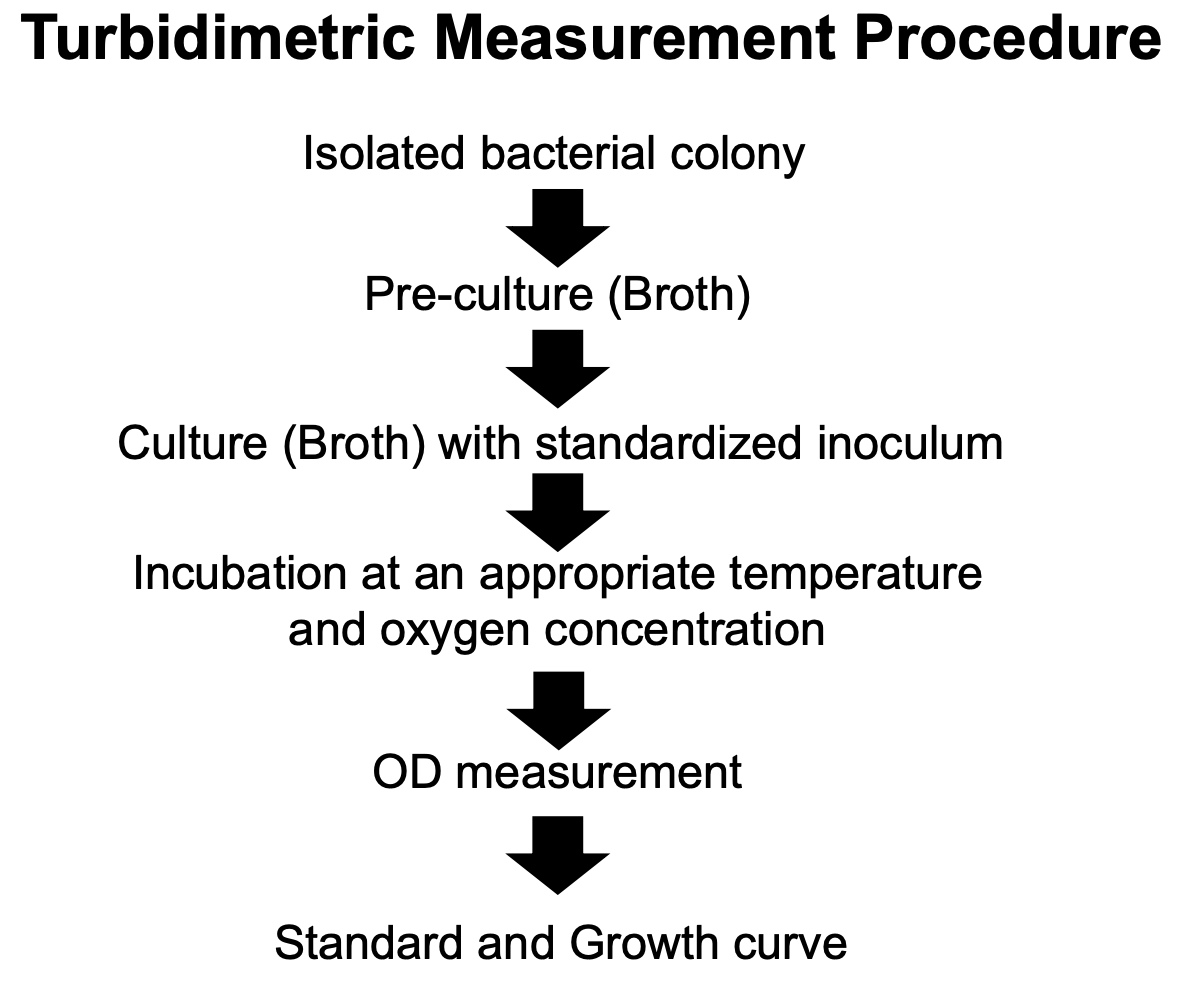 <ul><li><p>From an<strong> isolated bacterial colony,</strong></p></li><li><p>you create a <strong>pre-culture (broth),</strong> then</p></li><li><p>create a <strong>culture (broth) with standardized inoculum</strong> (from pre-cultured broth)</p></li><li><p><strong>Incubate at an appropriate temperature and O2 concentration</strong></p></li><li><p><strong>Optical density (OD) measurement</strong></p></li><li><p>Plot <strong>standard and growth curves</strong></p></li></ul><p></p>