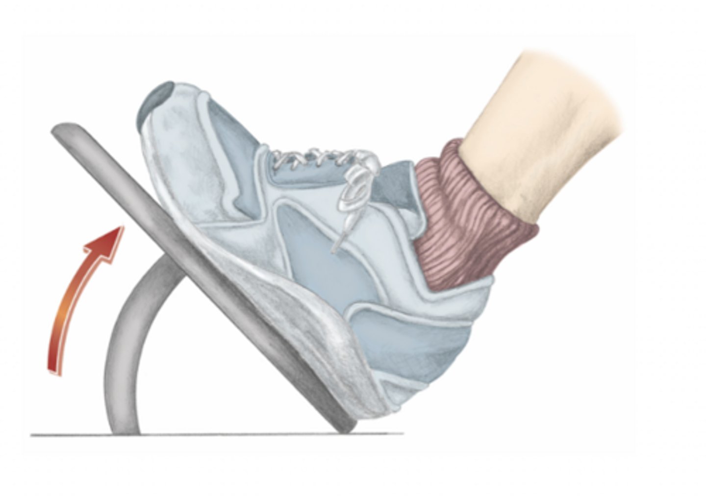 <p>please identify the movement and its location</p>