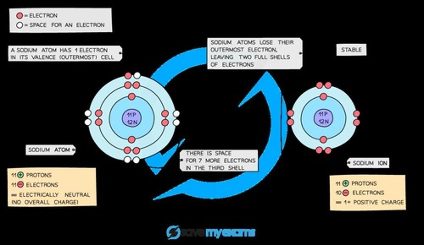 <p>A positive sodium ion with the charge 1+ is formed when sodium loses one outer electron.</p>