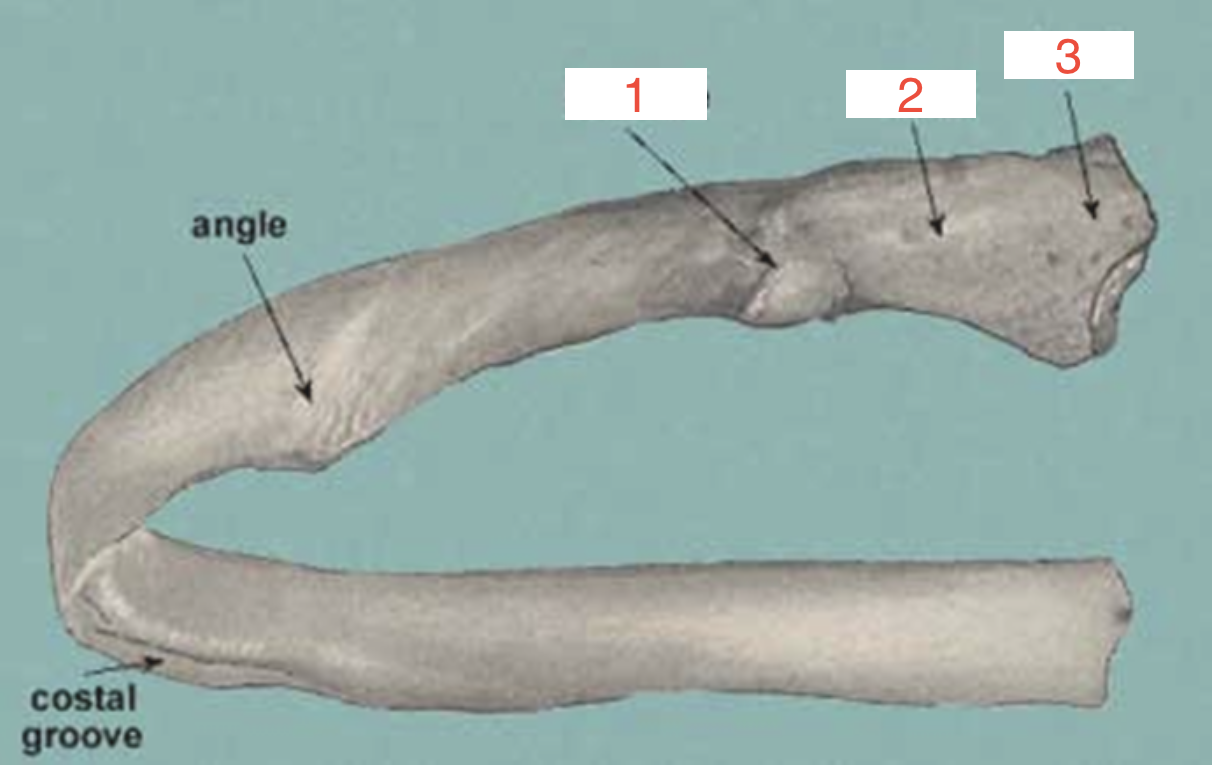 <p>2?</p>
